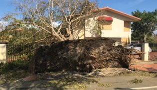 24CC69F0-AA32-4313-811D-6BCDB9491A16 Hurricane Damage