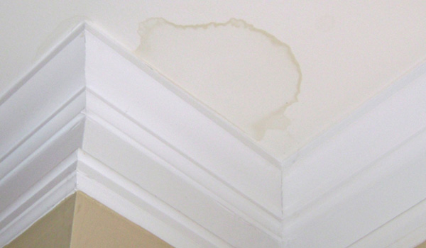 Roof Leak Insurance Claims